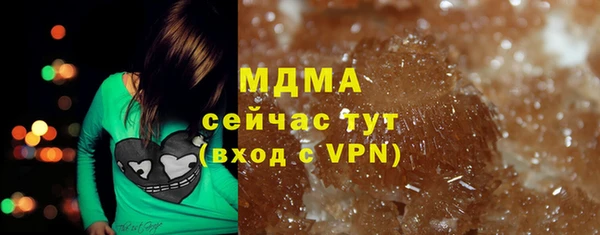 гидра Вязьма