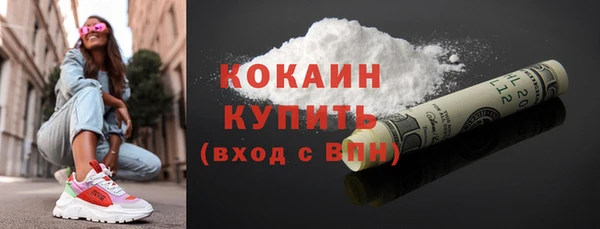 гидра Вязьма