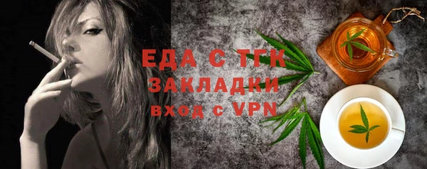 гидра Вязьма