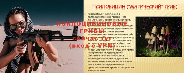 крисы Тавда