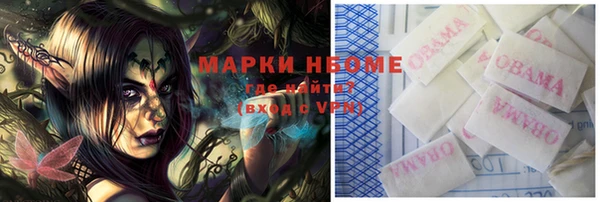 гидра Вязьма