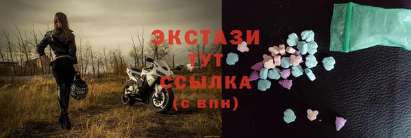 гидра Вязьма