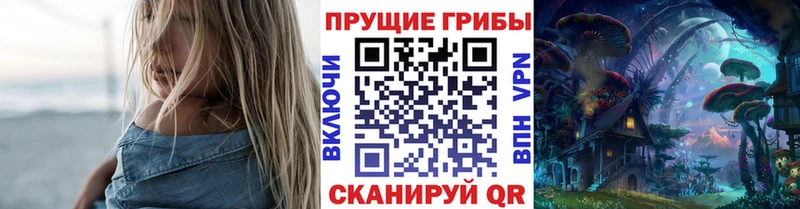 Псилоцибиновые грибы Psilocybe Жирновск