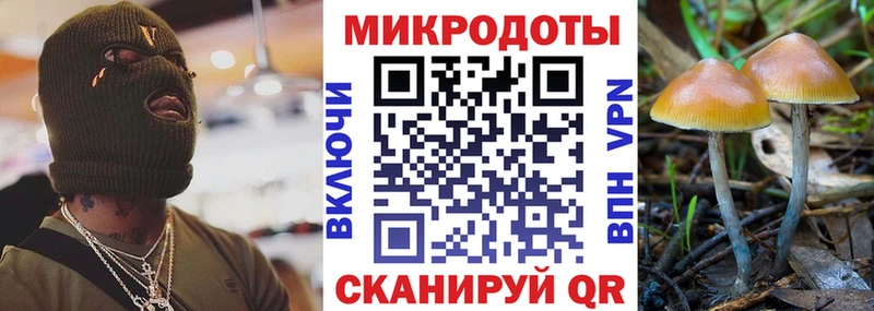 мега зеркало  дарнет шоп  Жирновск  Псилоцибиновые грибы MAGIC MUSHROOMS 